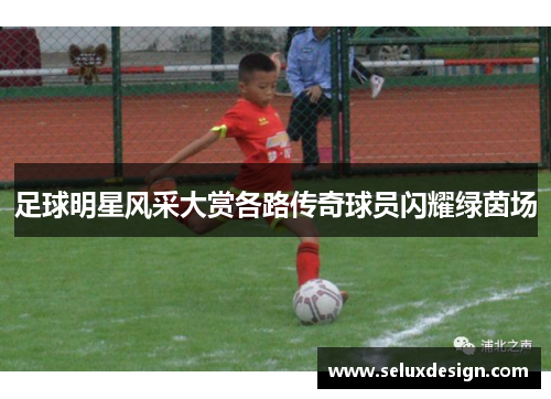 足球明星风采大赏各路传奇球员闪耀绿茵场