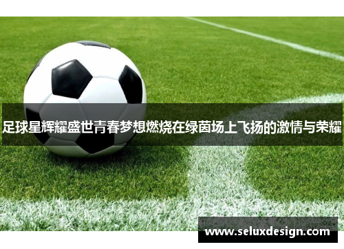 足球星辉耀盛世青春梦想燃烧在绿茵场上飞扬的激情与荣耀