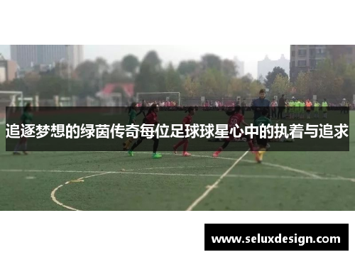 追逐梦想的绿茵传奇每位足球球星心中的执着与追求