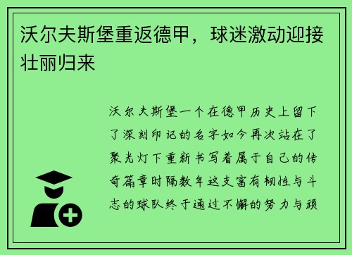 沃尔夫斯堡重返德甲，球迷激动迎接壮丽归来